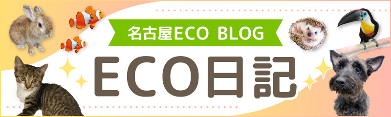 名古屋ECO BLOG ECO日記