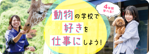 動物の学校で好きを仕事にしよう！4年間学べる！