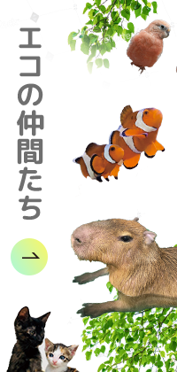 エコの仲間たち