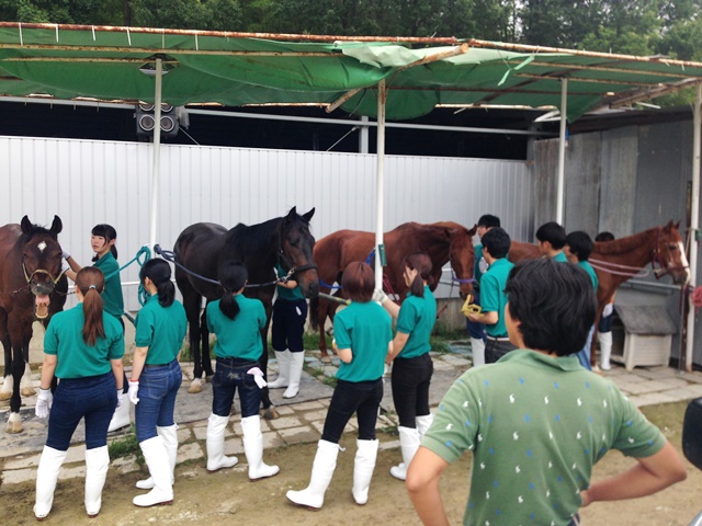 乗馬実習 Eco日記 名古屋eco動物海洋専門学校