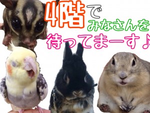 ③