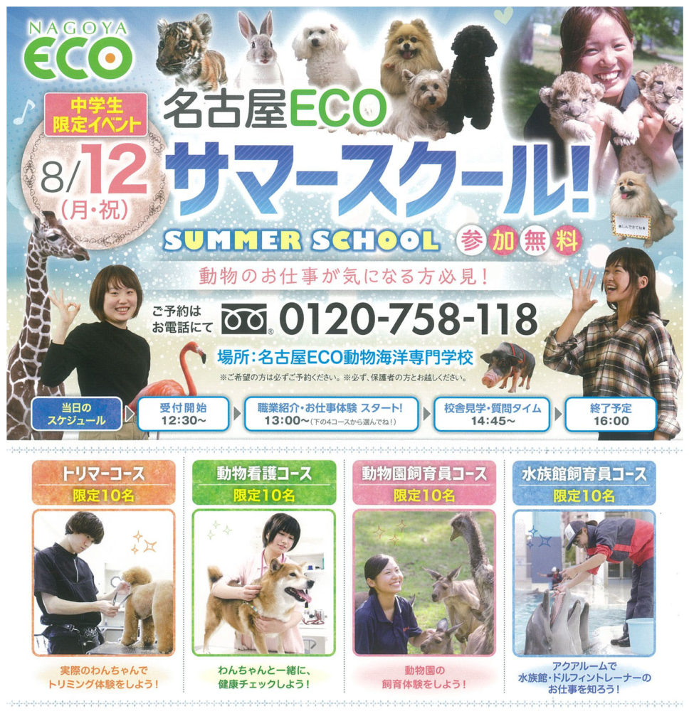 中学生限定 8 12サマースクール開催決定 スタッフブログ Eco日記 名古屋eco動物海洋専門学校
