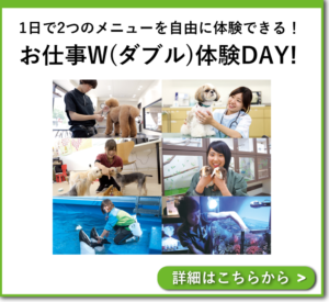 お仕事W体験DAY！