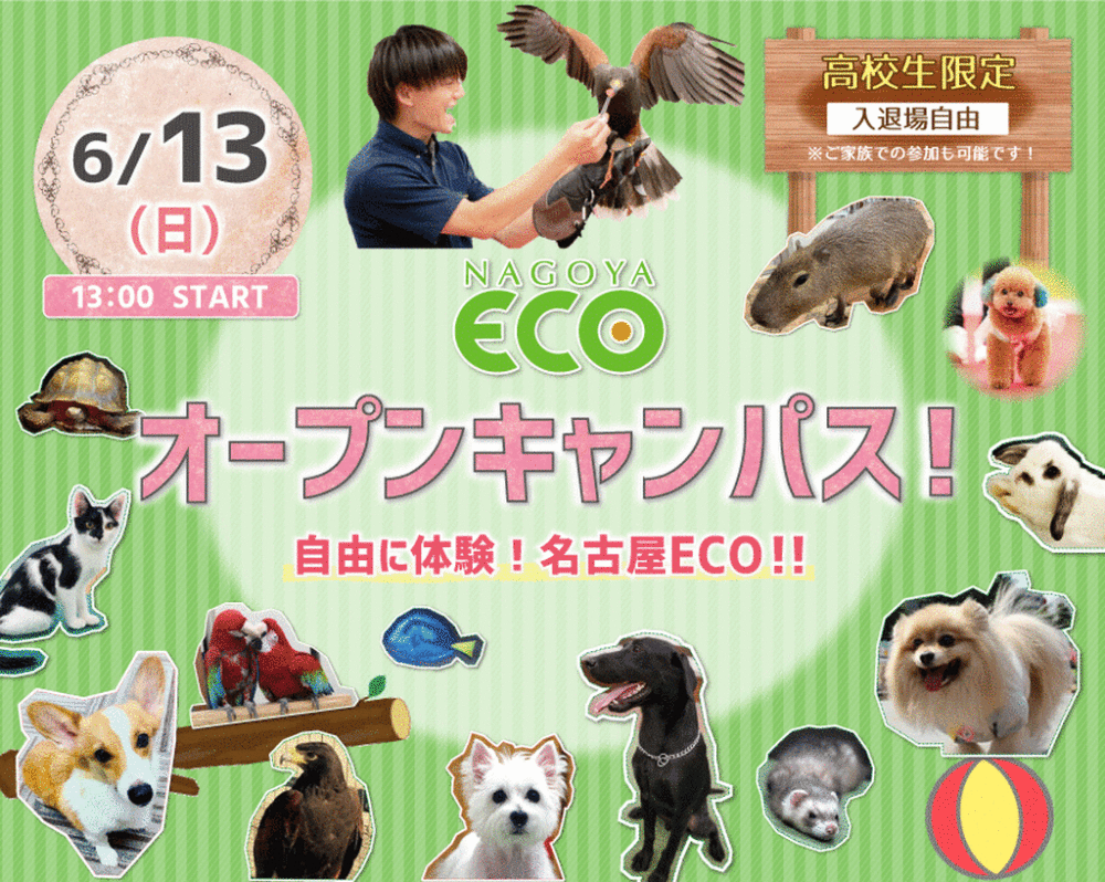 名古屋ECO オープンキャンパス！！