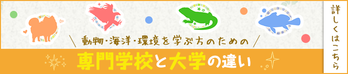 悩んでいるみなさんへのお役立ちコンテンツ！動物・海洋・環境を学ぶ方のための専門学校と大学の違い