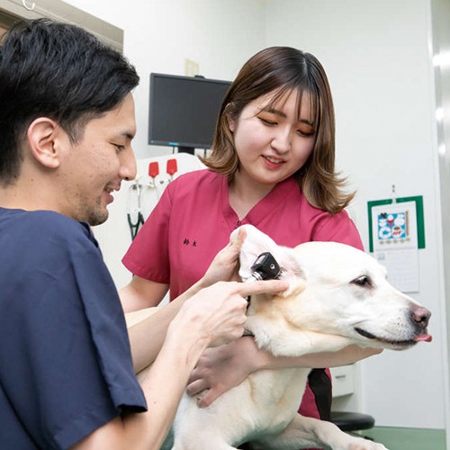 動物看護師専攻