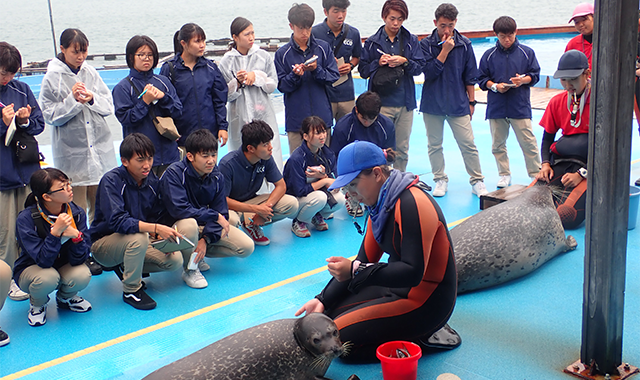 ドルフィントレーナー専攻 名古屋eco動物海洋専門学校