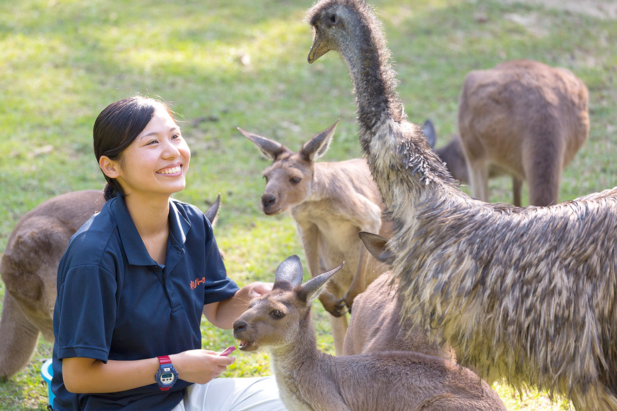 動物園 動物飼育専攻 名古屋eco動物海洋専門学校