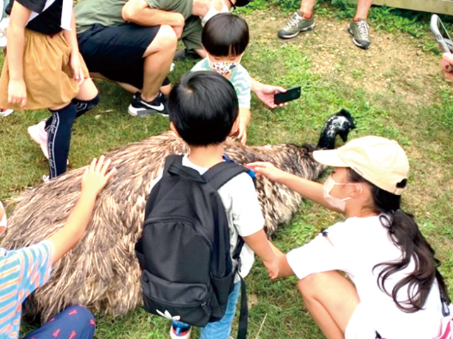 エミューの看板製作