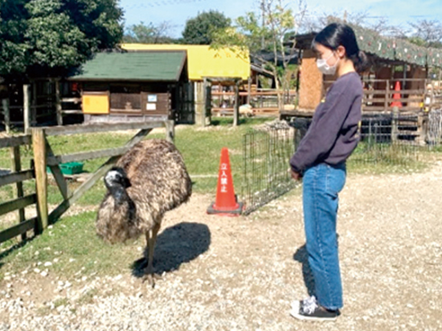 エミューの看板製作