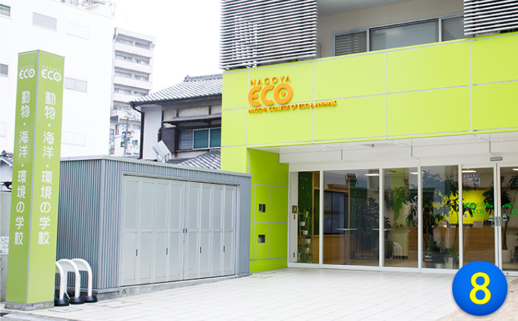 左側に、緑色の建物が入った建物が、名古屋ECO動物海洋専門学校です。