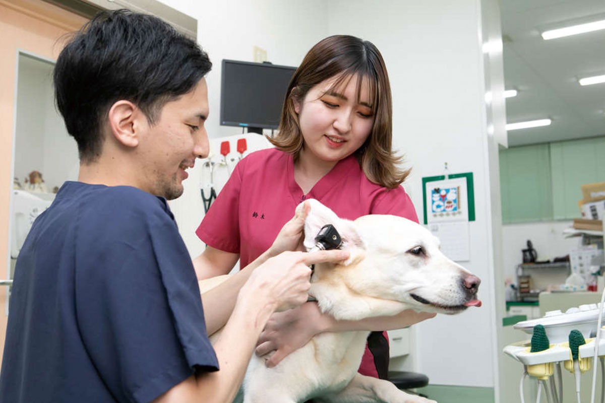 動物看護師専攻