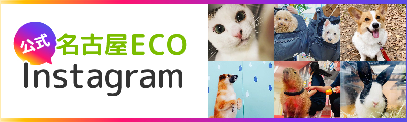 名古屋ECO 公式インスタグラム