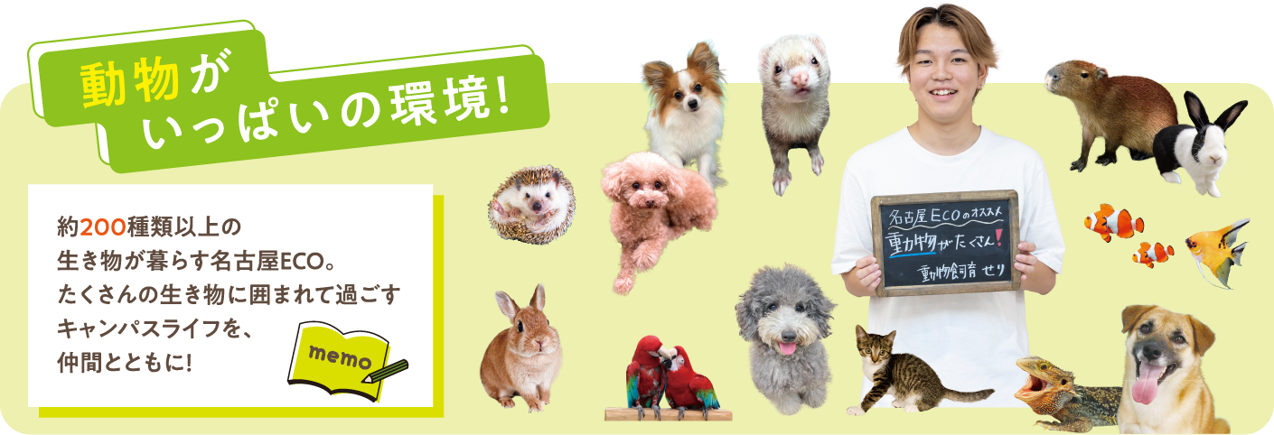 動物がいっぱいの環境！