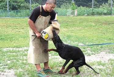 警察犬訓練士