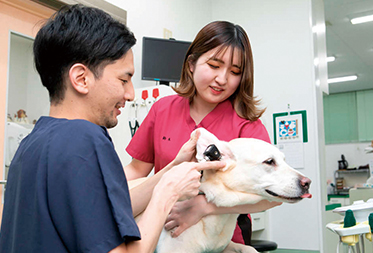 動物看護師