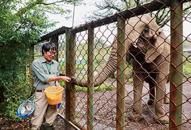 動物園飼育員